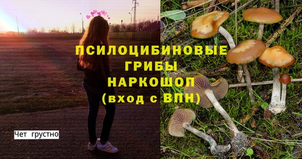 спайс Абдулино