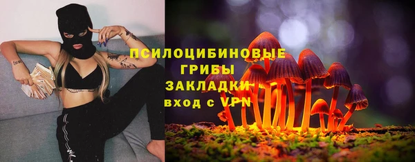 дмт Абинск