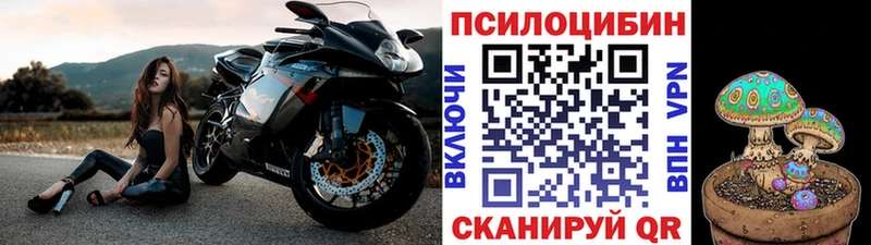 Галлюциногенные грибы MAGIC MUSHROOMS Курск