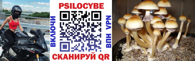 Псилоцибиновые грибы прущие грибы  Курск 