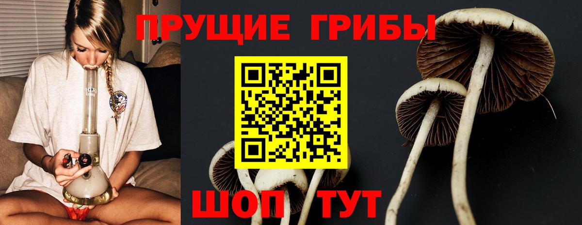 Галлюциногенные грибы прущие грибы Курск